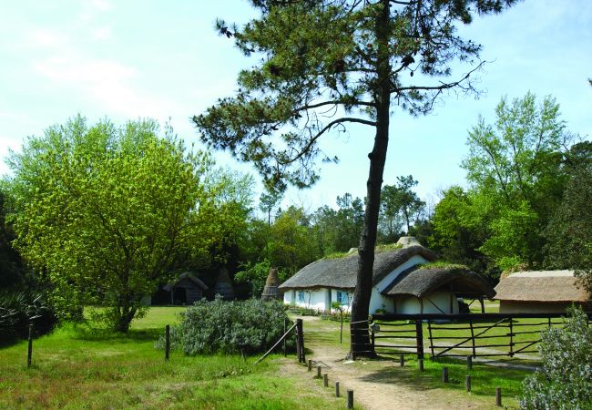 Mobile home à Saint-Hilaire-de-Riez - Mobil home avec piscine chauffée Mobile home à Saint-Hilaire-de-Riez - Mobil home avec piscine chauffée