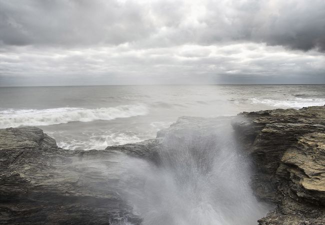Maison à Saint-Hilaire-de-Riez - L' Atlantique, maison avec jardin 4/6 personnes Maison à Saint-Hilaire-de-Riez - L' Atlantique, maison avec jardin 4/6 personnes