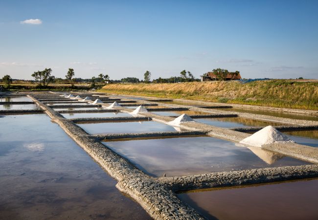 Maison à Saint-Hilaire-de-Riez - L' Atlantique, maison avec jardin 4/6 personnes Maison à Saint-Hilaire-de-Riez - L' Atlantique, maison avec jardin 4/6 personnes