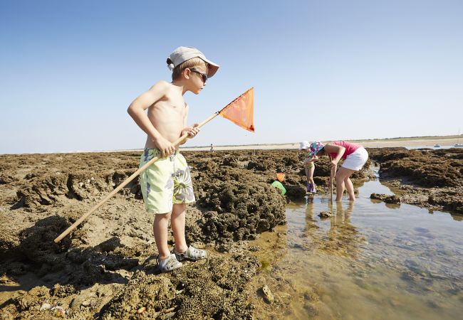 Maison à Saint-Hilaire-de-Riez - L' Atlantique, maison avec jardin 4/6 personnes Maison à Saint-Hilaire-de-Riez - L' Atlantique, maison avec jardin 4/6 personnes