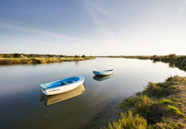 Appartement à Saint-Hilaire-de-Riez - Le Dauphin Bleu face mer Appartement à Saint-Hilaire-de-Riez - Le Dauphin Bleu face mer