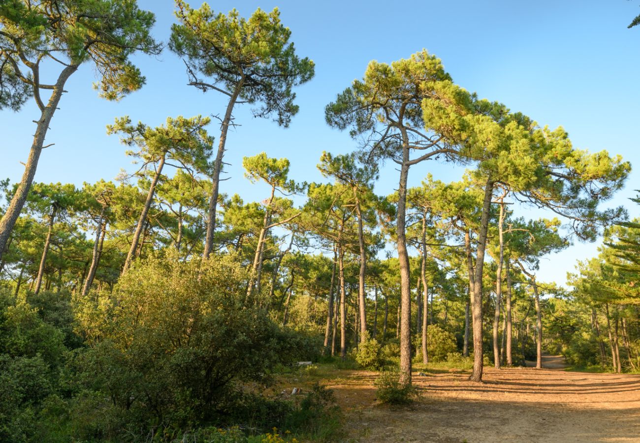 Maison à St. Hilaire de Riez - La Mer à vos Pied pour 4 personnes