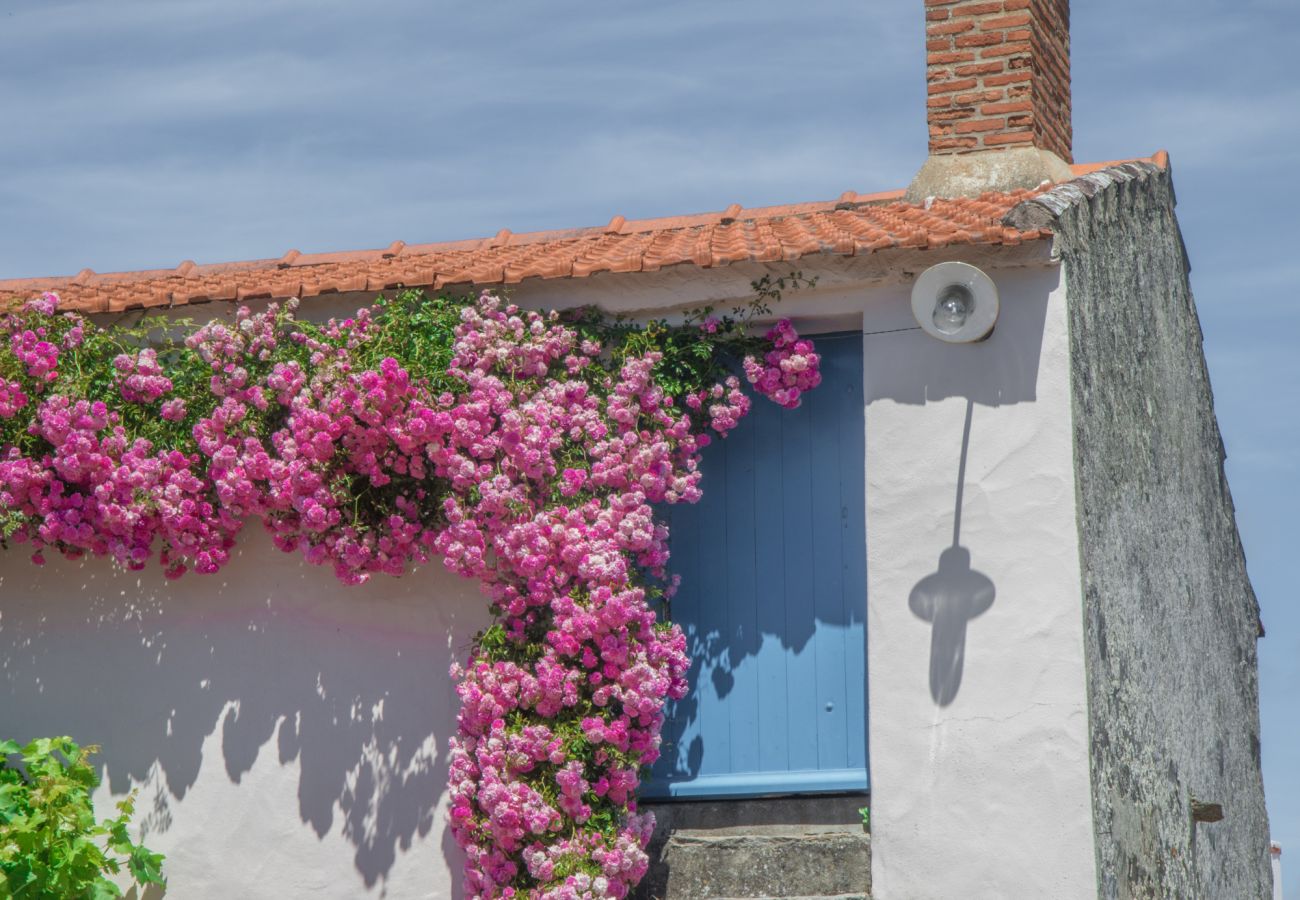 Maison à Saint-Hilaire-de-Riez - Casa Natura