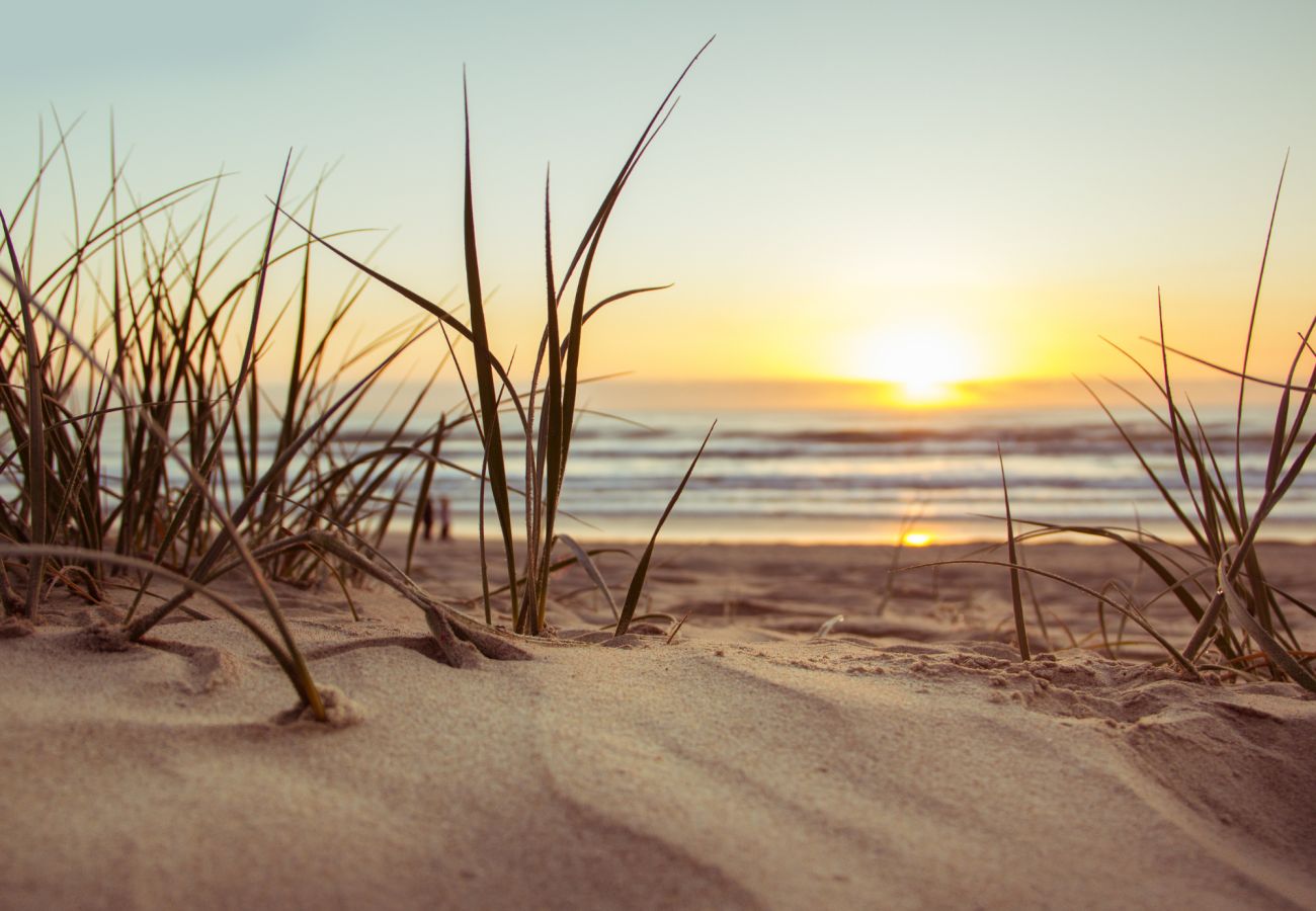 Maison à Saint-Hilaire-de-Riez - Le Moussaillon de Terre Fort