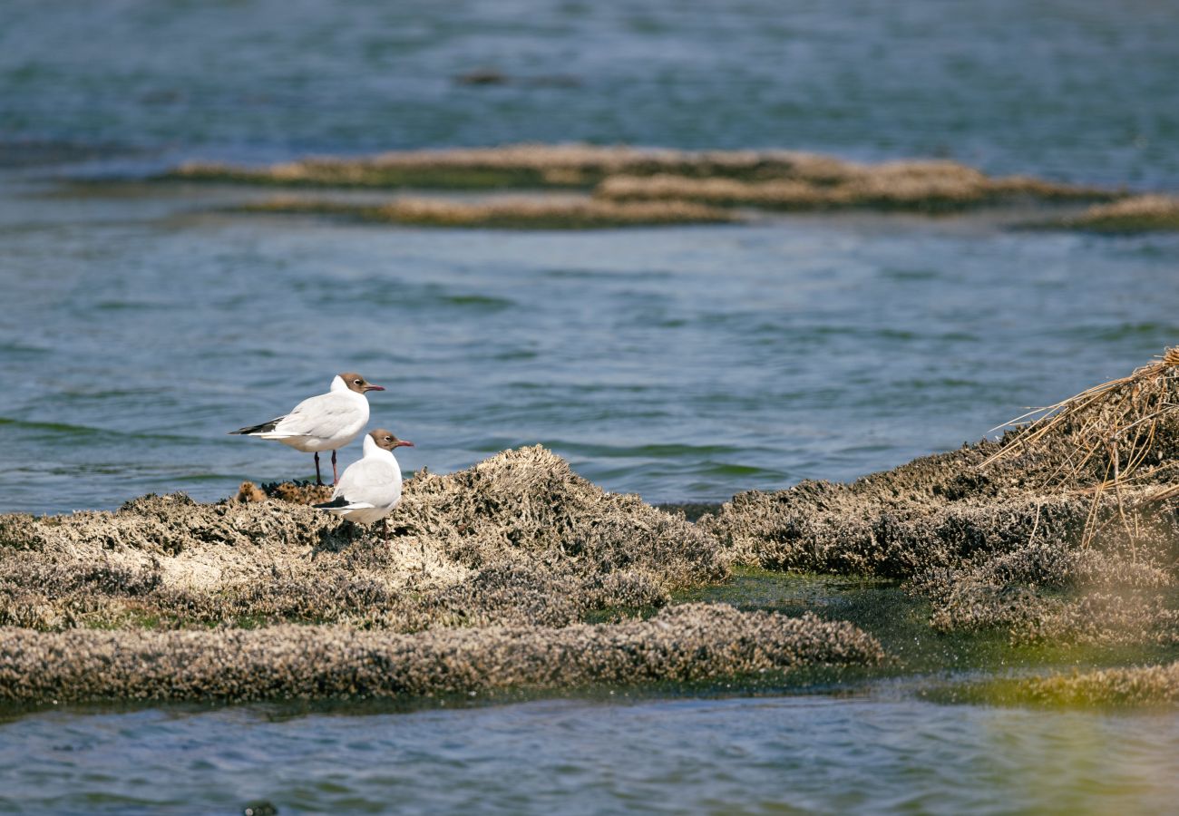 Appartement à Saint-Hilaire-de-Riez - Le Marais Bleu
