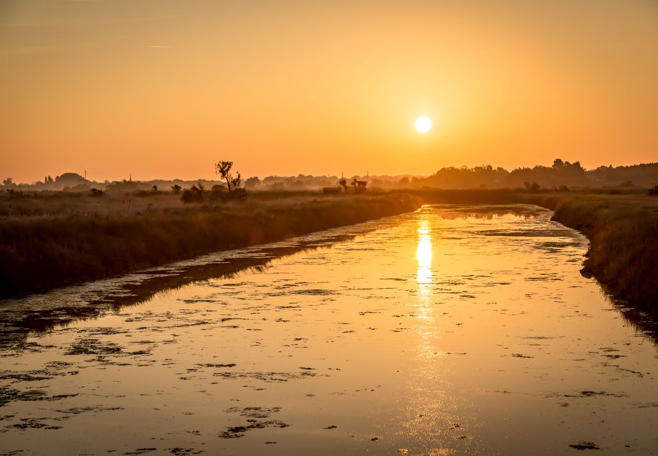 Appartement à Saint-Gilles-Croix-de-Vie - L'Océanide