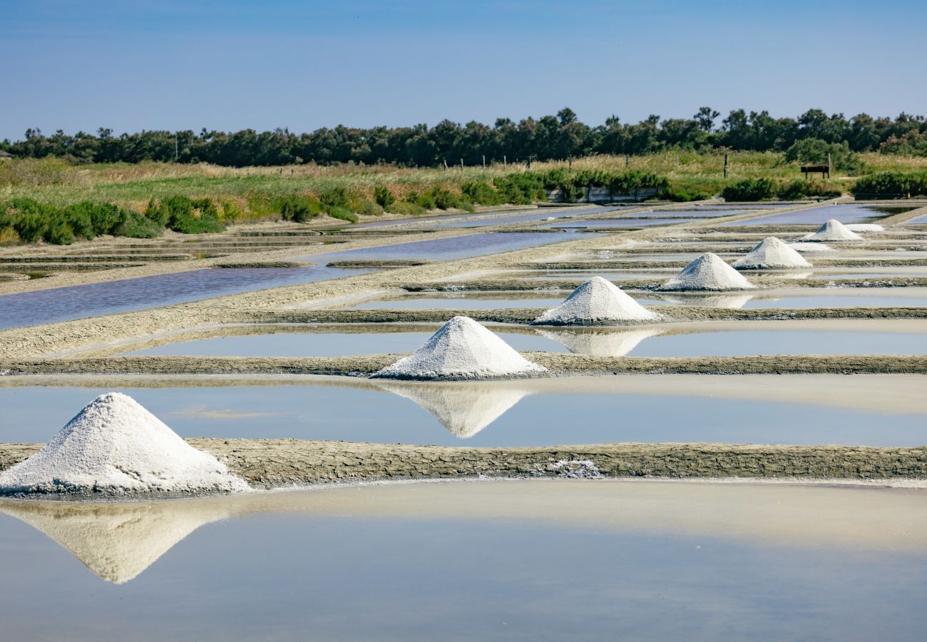 Appartement à Saint-Hilaire-de-Riez - L'Acapulco