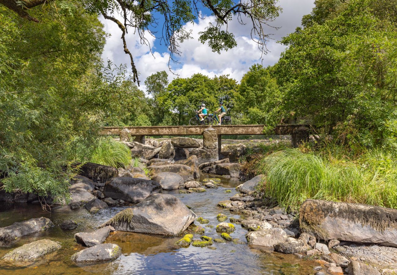 Appartement à Saint-Hilaire-de-Riez - L'Acapulco