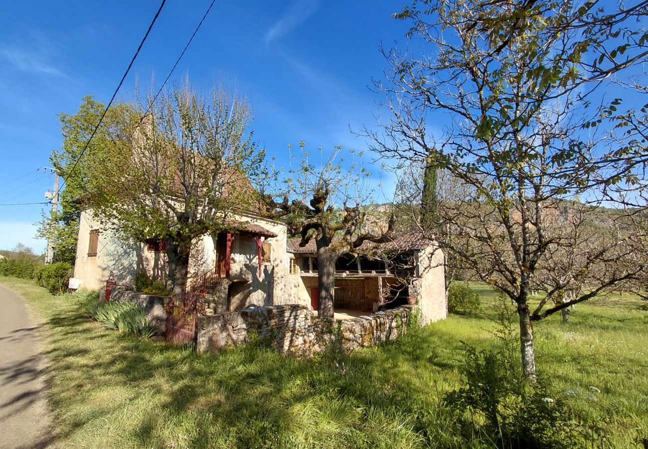 Maison à Cénevières - L'Oustal de la Rivière à 4km de Saint-Cirq-Lapopie